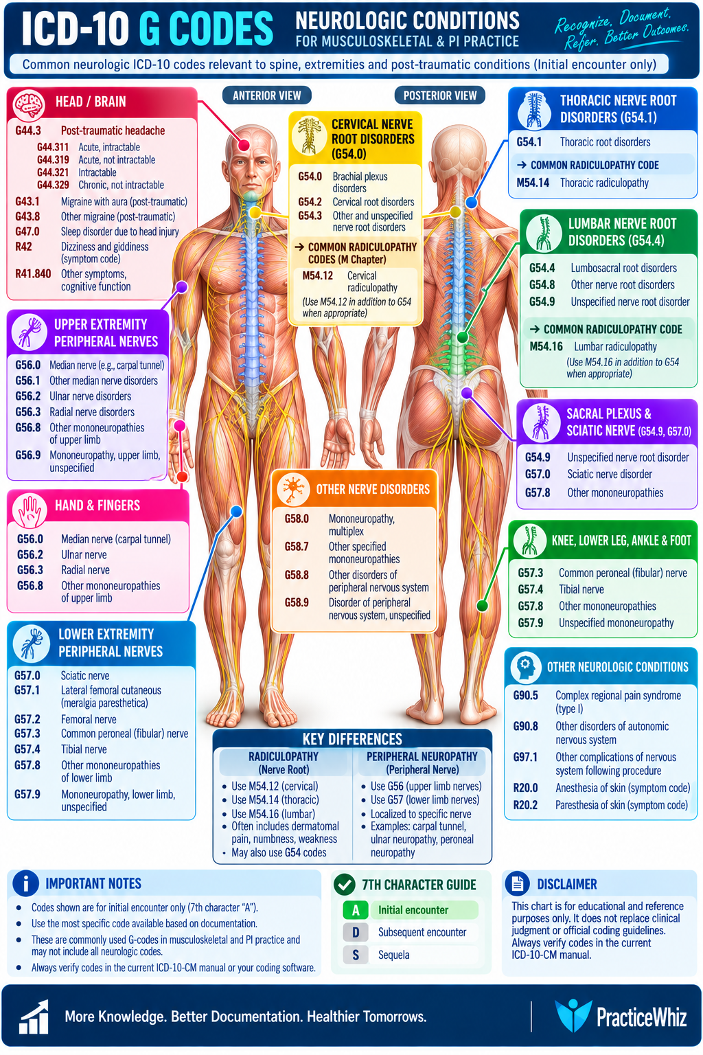 ICD-10 G codes for neurologic conditions relevant to musculoskeletal and personal injury practice.